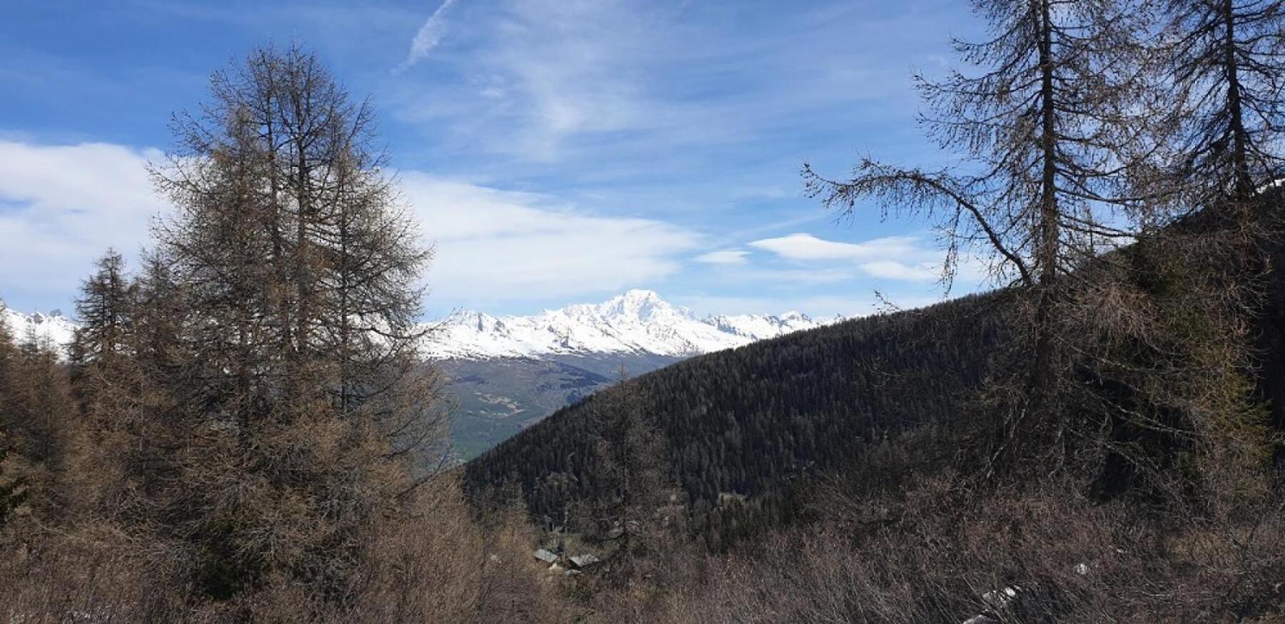 Residence Plagne Lauze - Maeva Home - Studio 2 Personnes - Selection Mae-9201 Macot-la-Plagne Εξωτερικό φωτογραφία